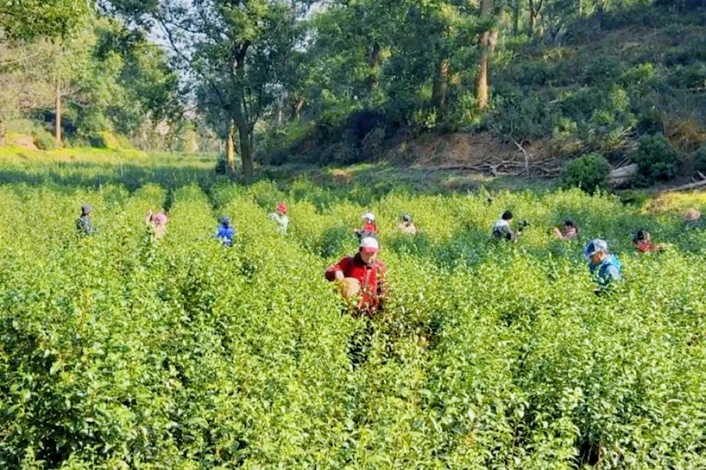 微信圖片_20250319102707.jpg 微信圖片_20250319102707.jpg